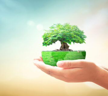 Go,Green,Home,Service,Concept:,Human,Hands,Holding,Earth,Globe