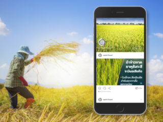 Bayer’s CropScience Beefs Up Digital Presence in TH with LINE & Marketing Agency | Digital 38