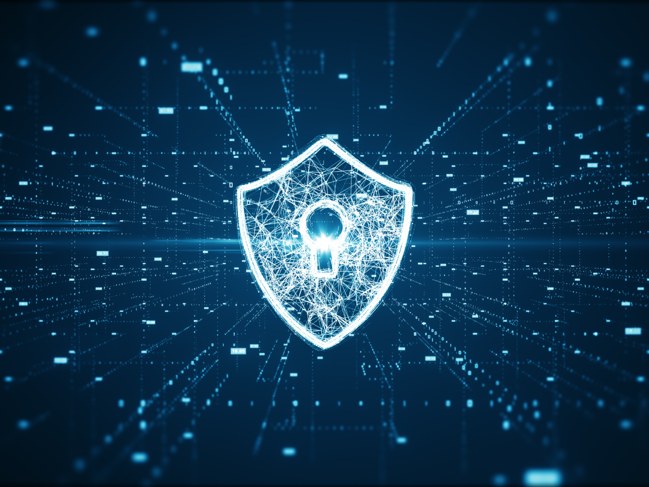 security and data protection concept